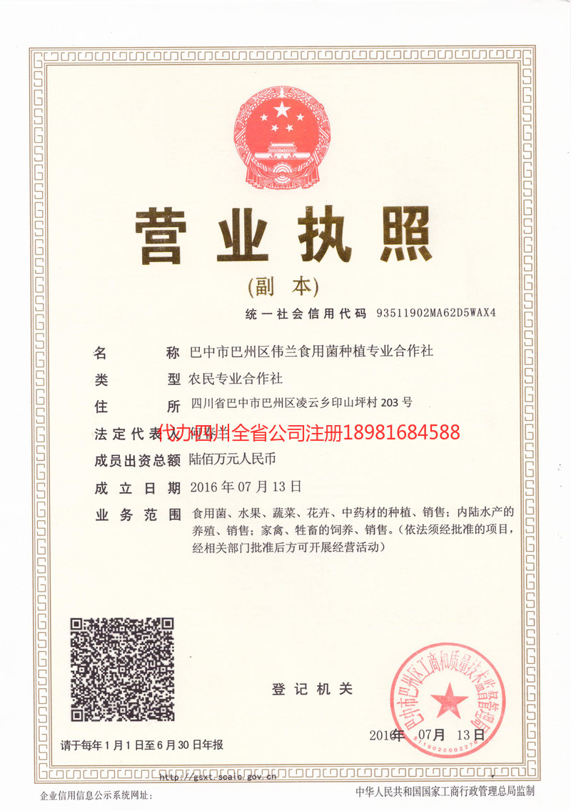 岳阳岳阳伟兰食用菌种植专业合作社